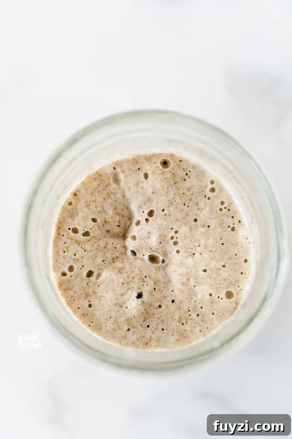 How to Feed Your Sourdough Starter and Maintain It 8 Learn how to make a sourdough starter with gluten free flour with 2 ingredients and minimal equipment.