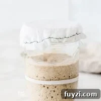 How to Feed Your Sourdough Starter and Maintain It 11 img 25145 20