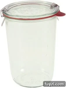 How to Feed Your Sourdough Starter and Maintain It 14 img 25145 26