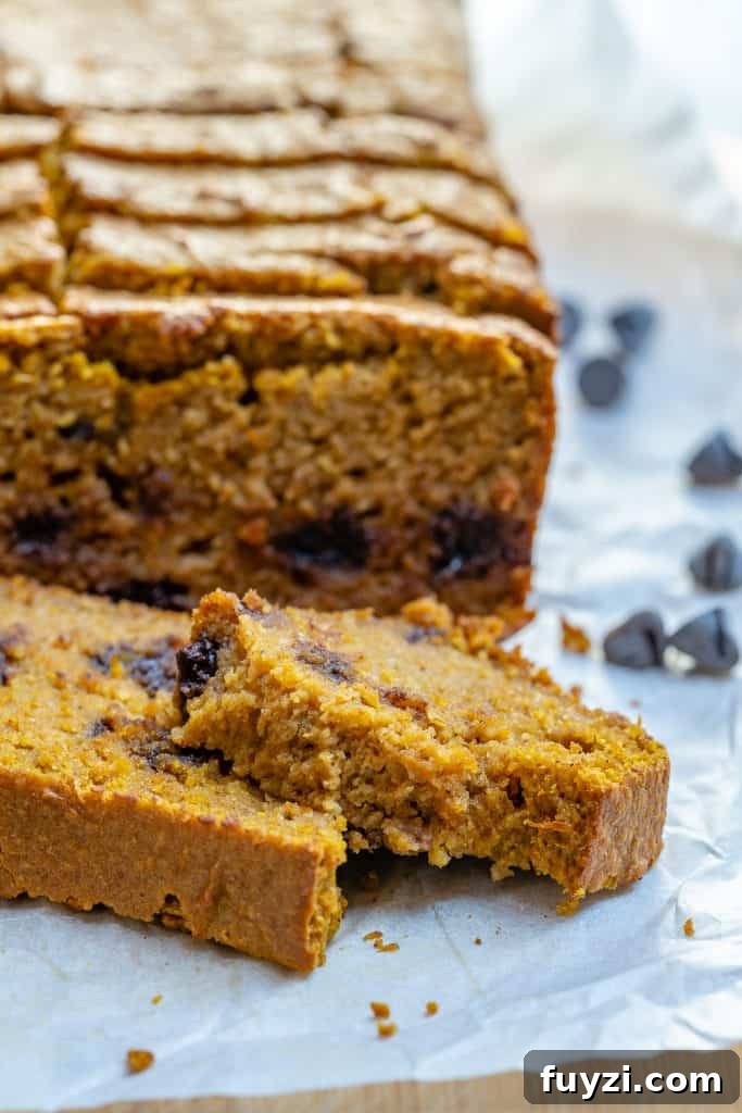 Moist Chocolate Chip Pumpkin Bread Recipe 8 side shot of pumpkin bread slices