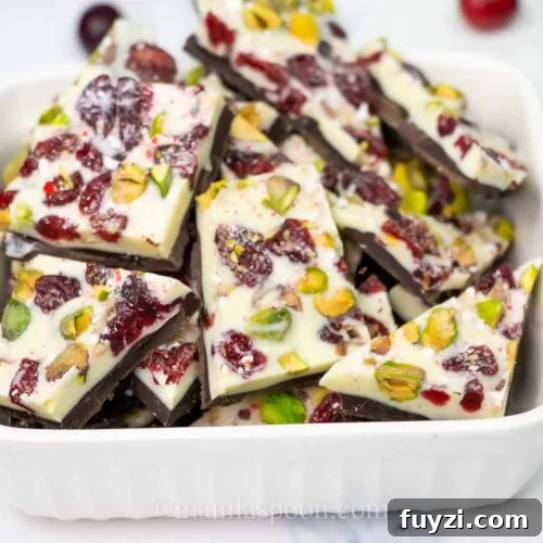 Double Chocolate Bark Recipe with Cranberries and Pistachios 2 Make the holidays special with this Easy Double Chocolate Bark with Cranberries and Pistachios! Featuring layers of rich dark and creamy white chocolate topped with festive red cranberries and green pistachios, this quick and stunning candy is as delicious as it is beautiful!