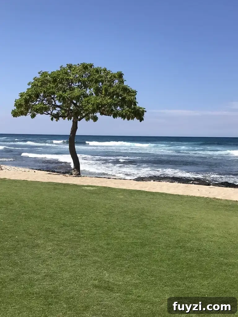 Fresh dishes served at The Beach Tree