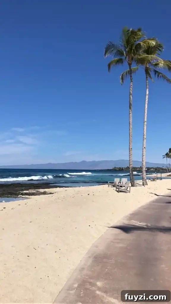 Relaxed dining by the water at The Beach Tree