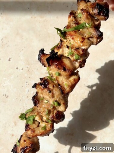 Grilled Yogurt-Marinated Chicken Skewers