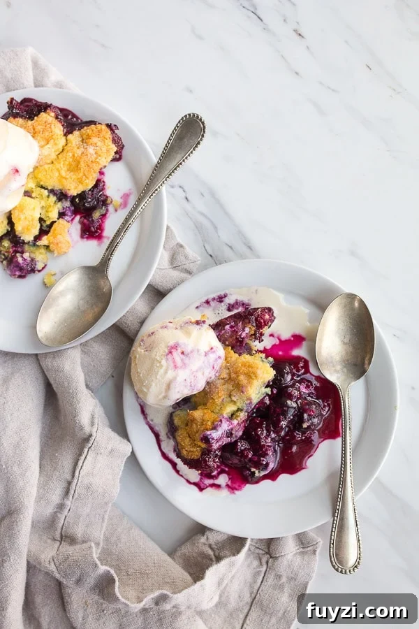 Blueberry Cobbler Recipe with Buttery Crust 2 Blueberry Cobbler with Cornmeal Biscuit Topping. Serves two.