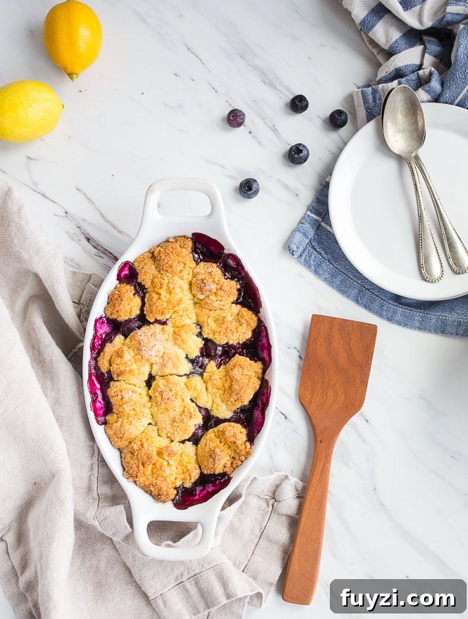 Blueberry Cobbler Recipe with Buttery Crust 5 Blueberry Cobbler with Cornmeal Biscuits. Serves two.