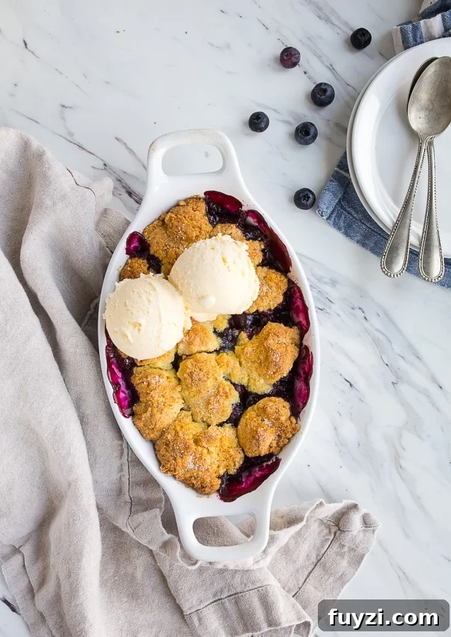 Blueberry Cobbler Recipe with Buttery Crust 6 Blueberry Cobbler Recipe for Two with Cornmeal Biscuit Topping.