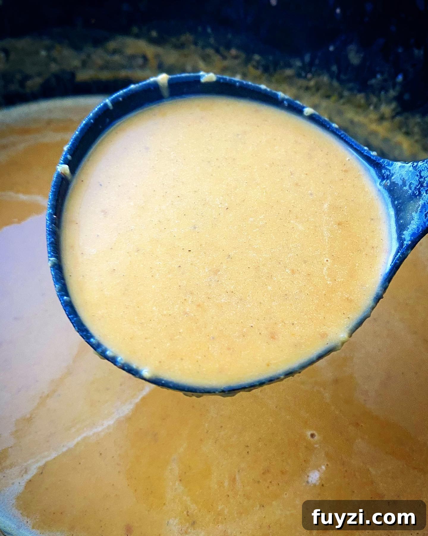 Creamy Slow Cooker Pumpkin Bisque 6 img 3214 5