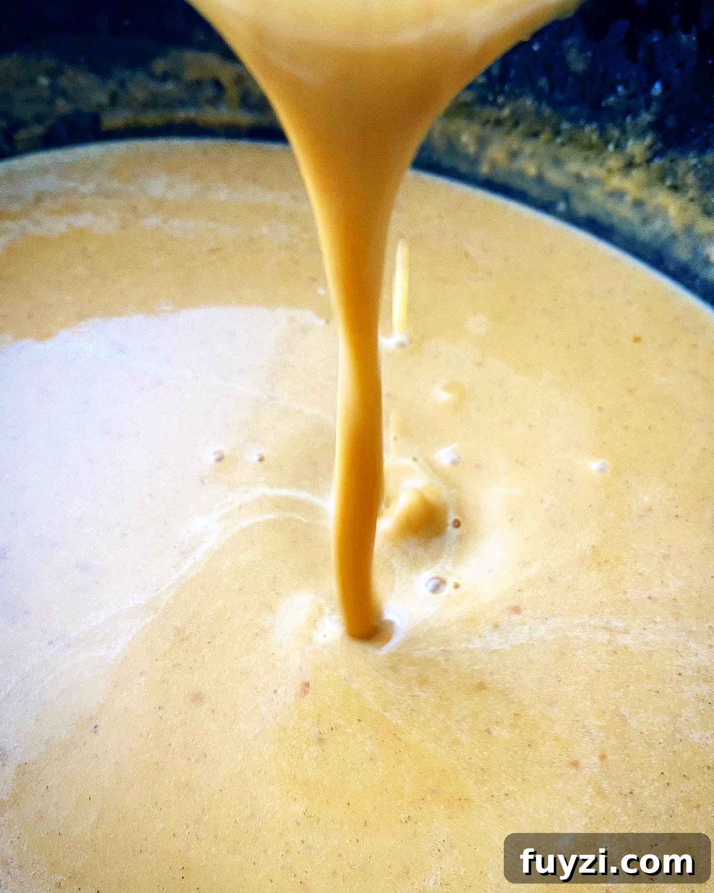 Creamy Slow Cooker Pumpkin Bisque 7 img 3214 6