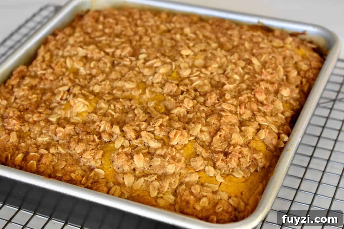 Pumpkin Streusel Coffee Cake Recipe with Cinnamon Crumble 6 Pumpkin Streusel Coffee Cake in a baking pan on top of a cooling rack.