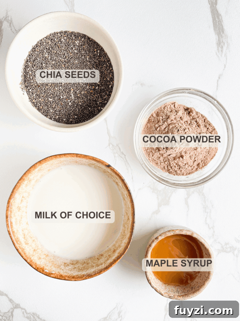 Creamy Chocolate Chia Pudding Recipe 3 Ingredients for Chocolate Chia Pudding – Chia seeds, cocoa powder, milk of choice, maple syrup