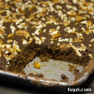 Texas Sheet Cake img 3541 4