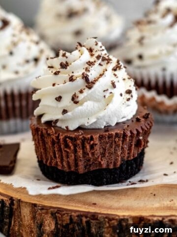 Mini chocolate cheesecakes