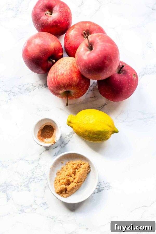 How to Make Apple Juice in the Instant Pot 5 Ingredients for making apple juice in an Instant Pot.