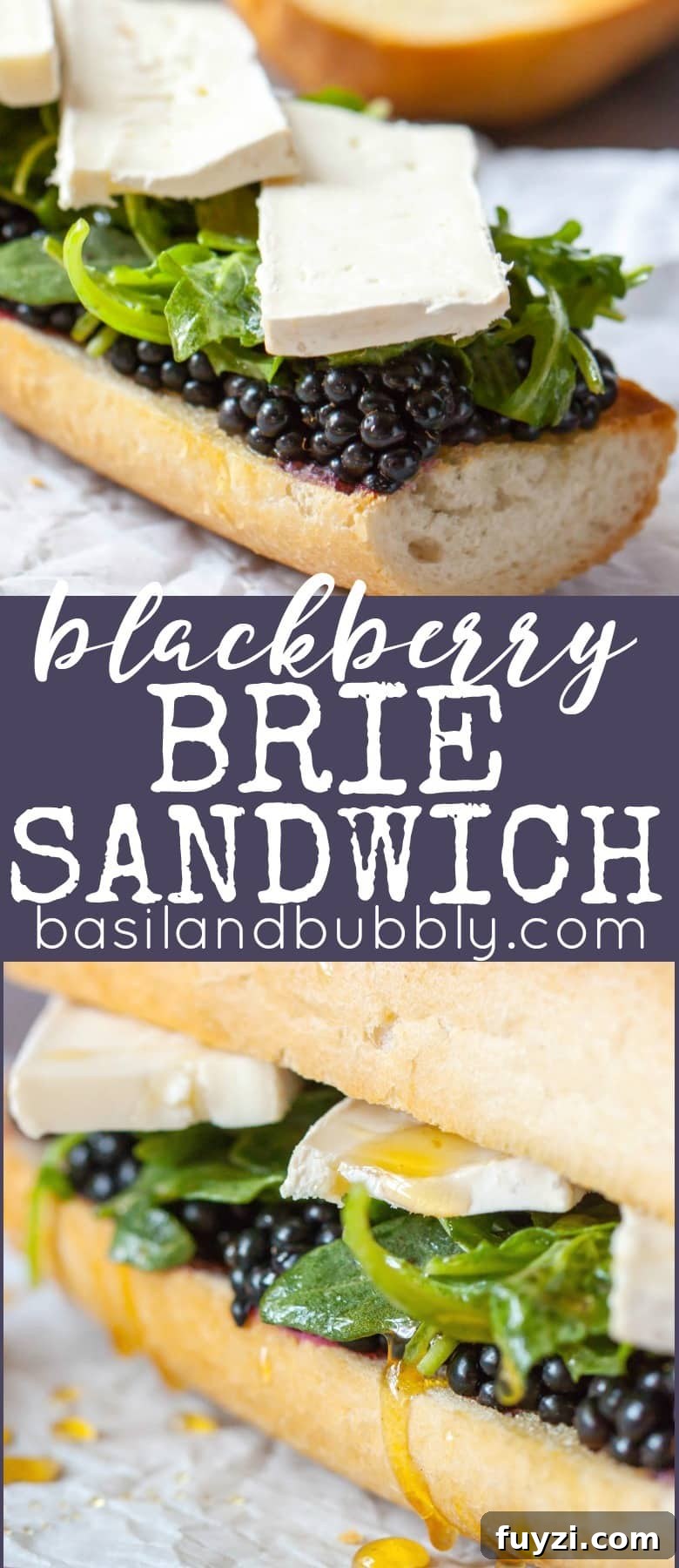 Blackberry Brie Sandwich