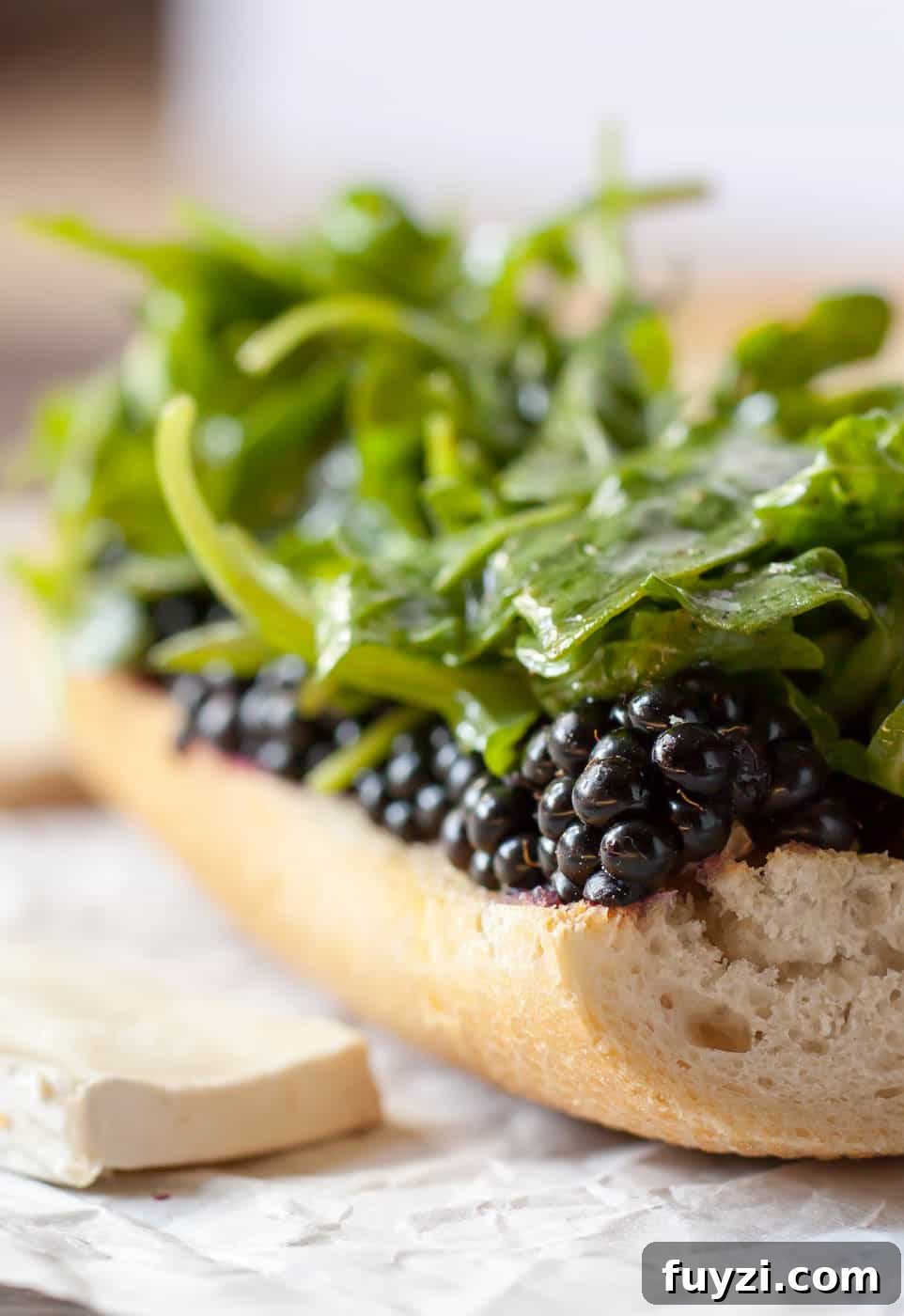 Grilled Brie and Blackberry Sandwich with Honey 5 Blackberry Brie Sandwich