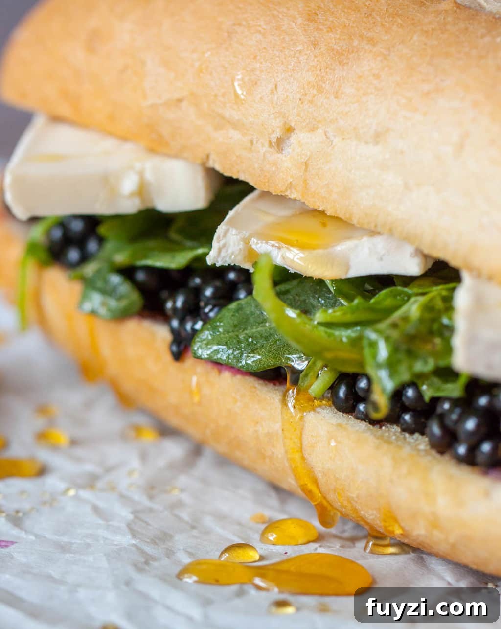 Grilled Brie and Blackberry Sandwich with Honey 8 Blackberry Brie Sandwich