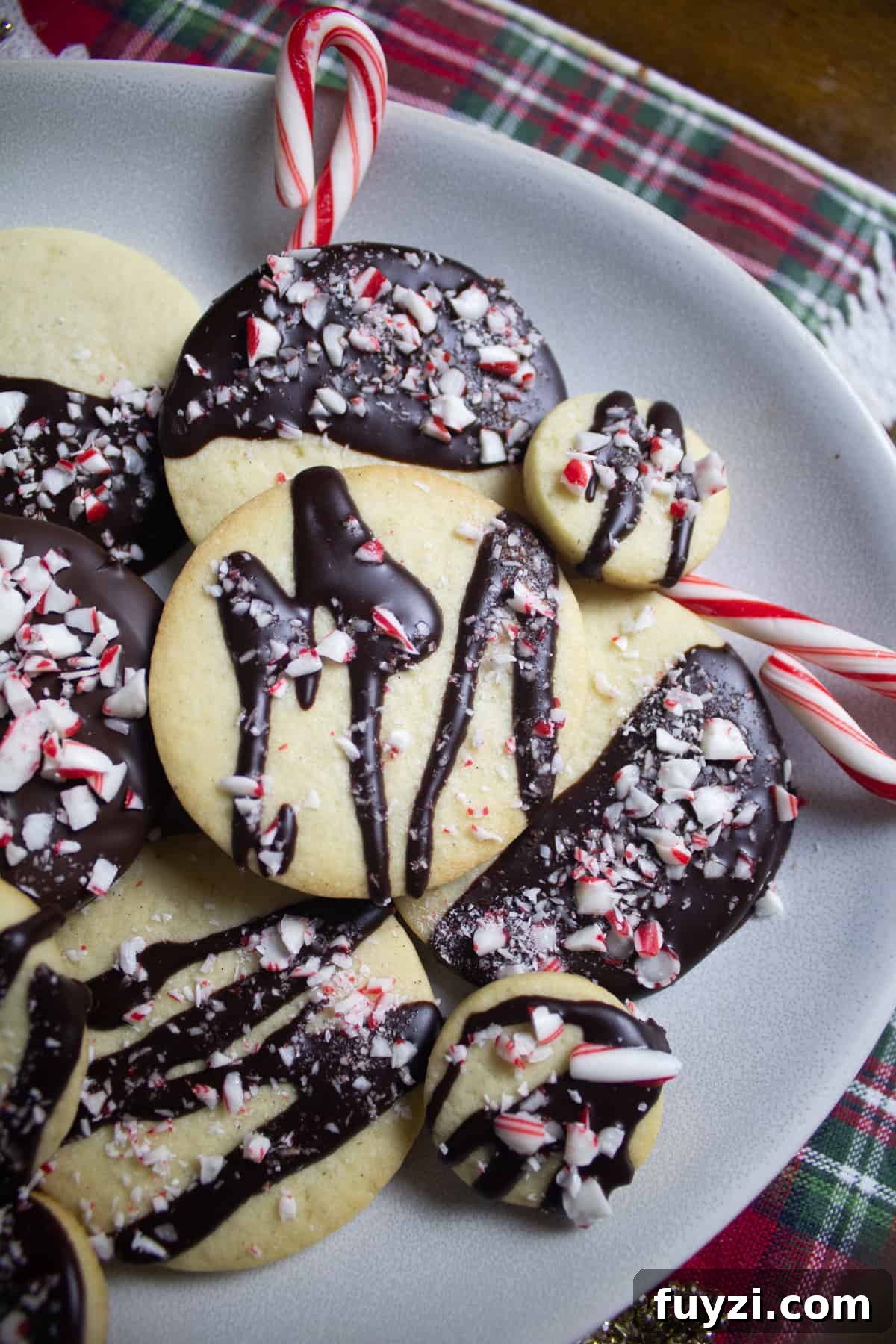 Dark chocolate drizzled over sugar cookie topped with peppermint