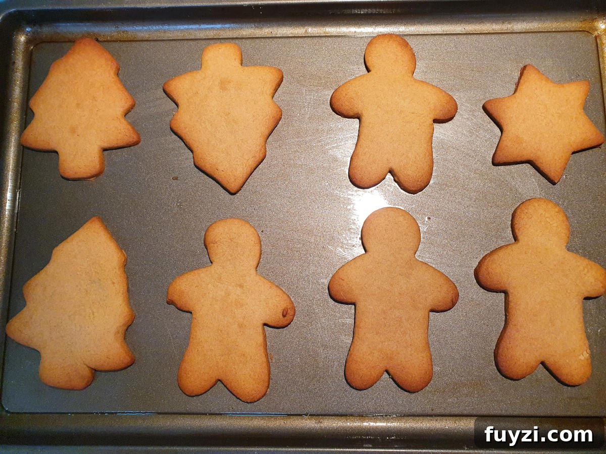 baked cookies on a try showing edges starting to do golden brown.