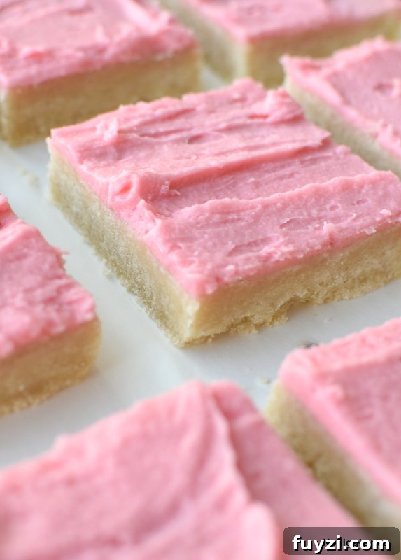 Chewy Sugar Cookie Bars Recipe with Vanilla Frosting 2 Sugar Cookie Bars | NoBiggie.net
