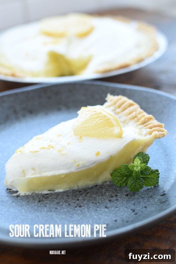 Lemon Sour Cream Pie | NoBiggie.net