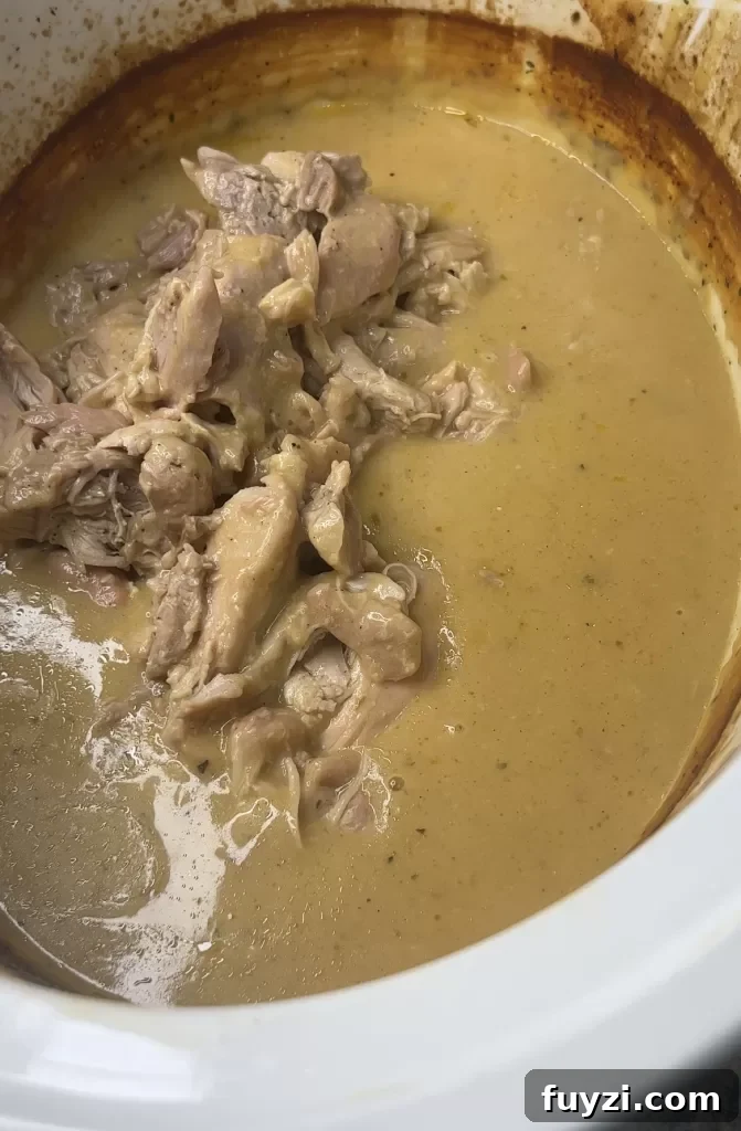 Chicken and gravy with sides