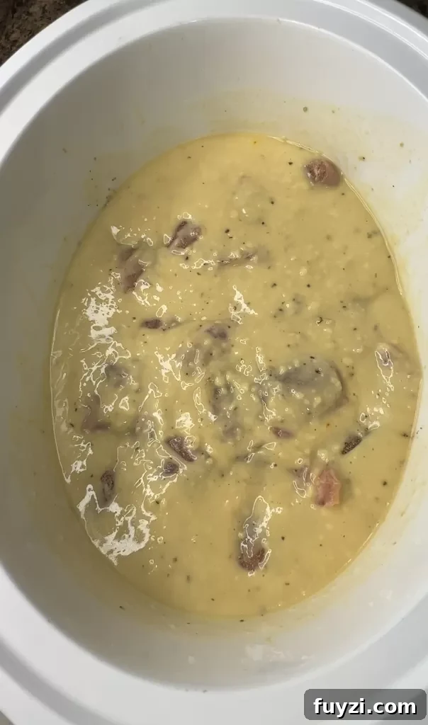 Shredded chicken in gravy
