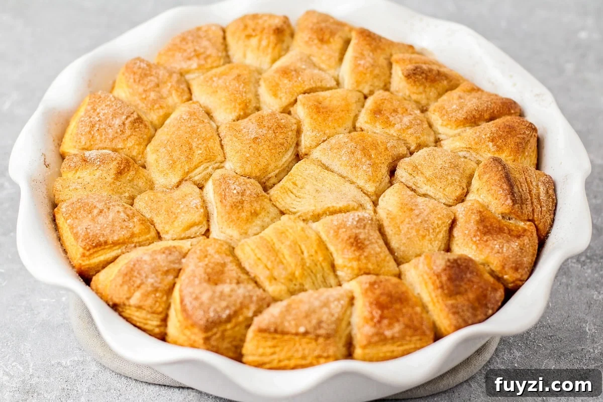 Cinnamon Sugar Bites Recipe: Bite-Sized Cinnamon Treats 5 Cinnamon bites baked in a pie pan.