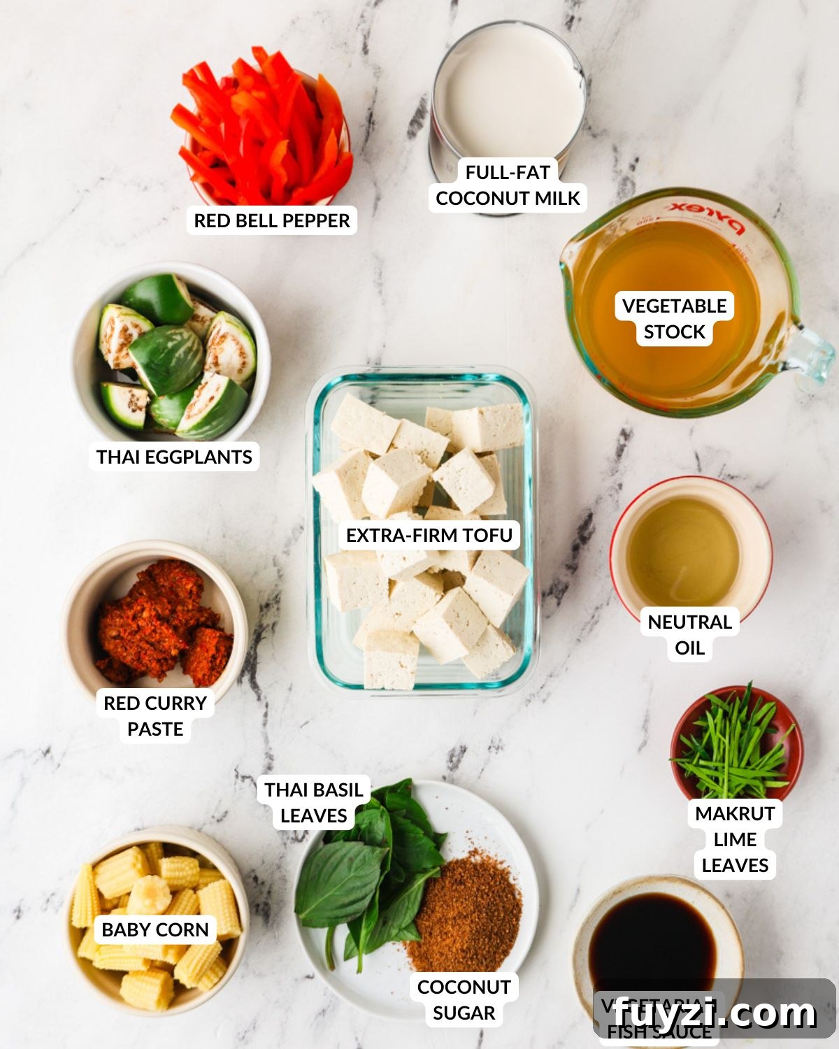 An overhead image of the ingredients of Thai red curry.