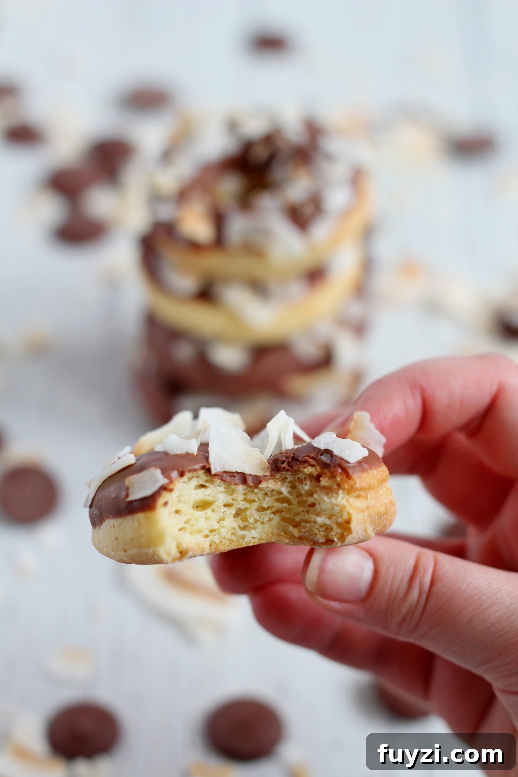 Baked Mini Donuts Recipe with Chocolate Glaze 6 baked style donuts with chocolate glaze