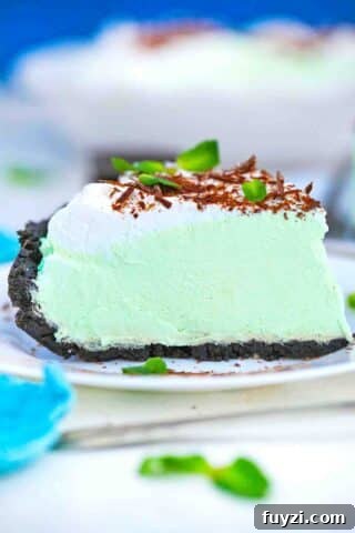 a slice of grasshopper pie topped with whipped cream and chocolate shavings