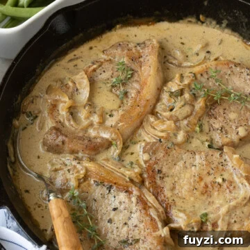 Close up of creamy pork chops with sauce.