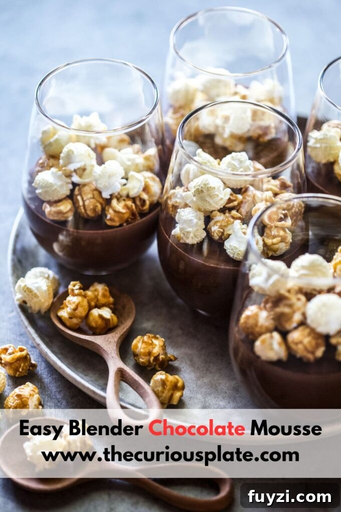 Easy Blender Chocolate Mousse