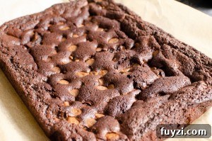 Fudgy Chunky Chocolate Chip Brownies Recipe 10 Chunky Chocolate Chip Brownie tray bake on brown parchment paper
