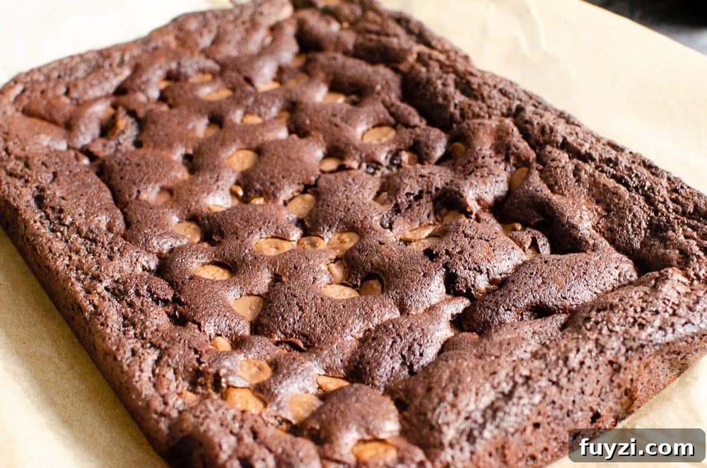 Fudgy Chunky Chocolate Chip Brownies Recipe 19 Chunky Chocolate Chip Brownie tray bake on brown parchment paper