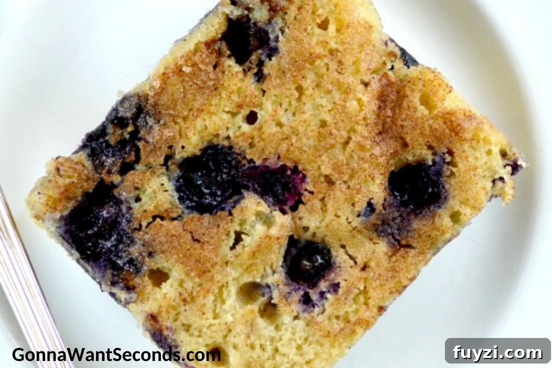 A slice of Blueberry Boy Bait on a plate