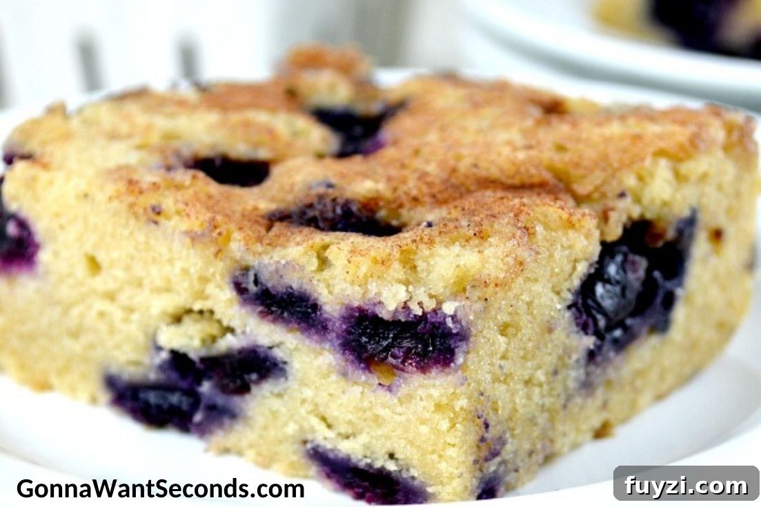 A slice of Blueberry Boy Bait on a plate