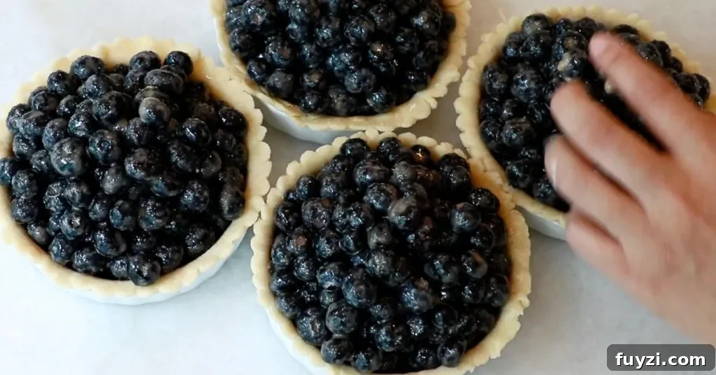 blueberry pie filling in pie dough
