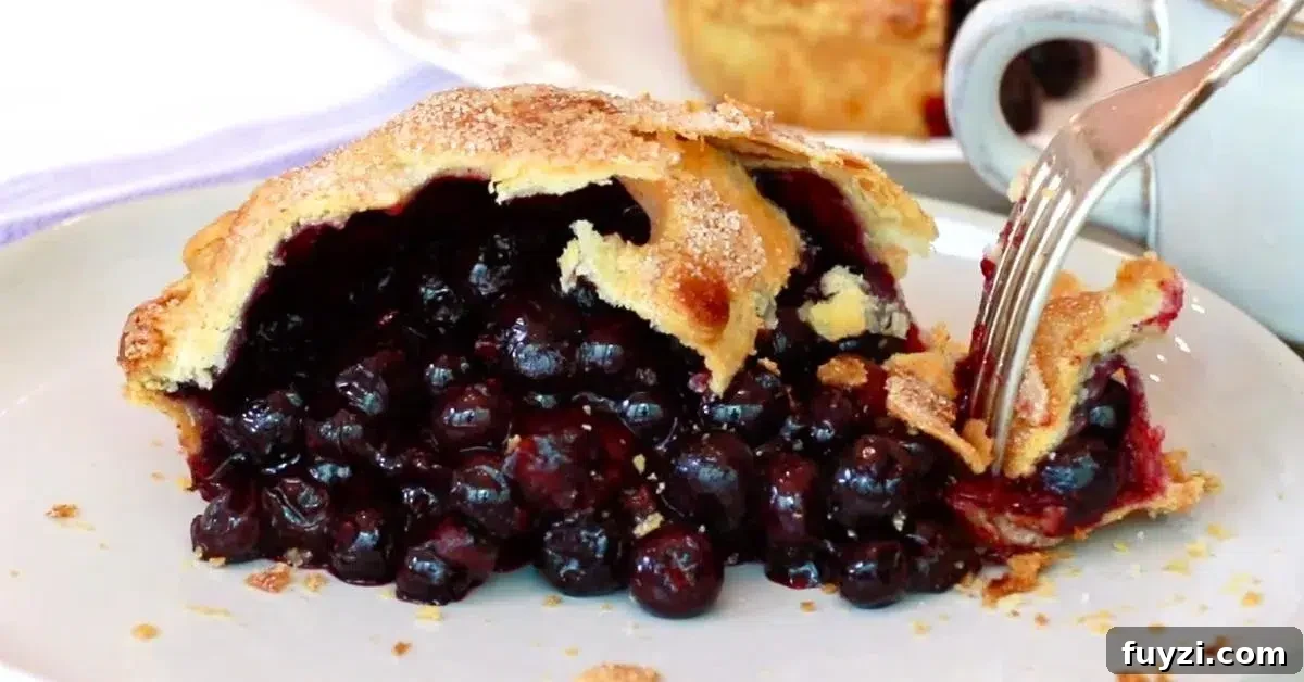 eating small blueberry pie cut in half