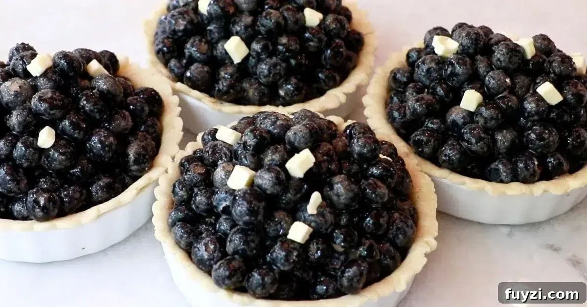 assembled blueberry pie in pie plate with cubed butter