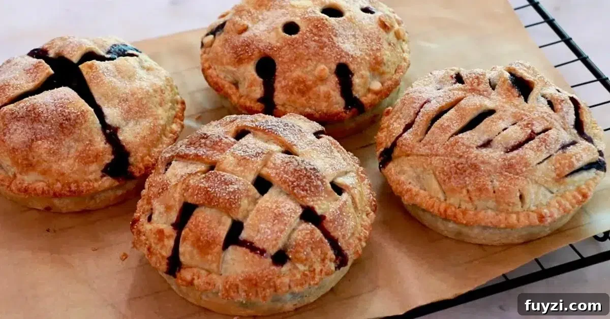 4 blueberry pies removed from pie plates