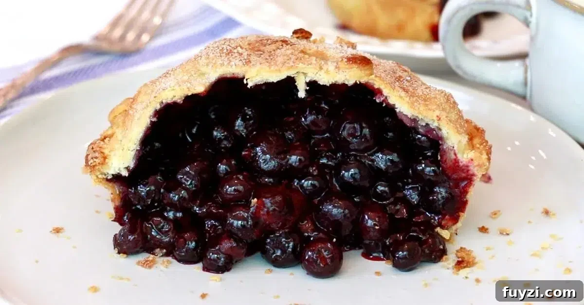 blueberry pie cut in half