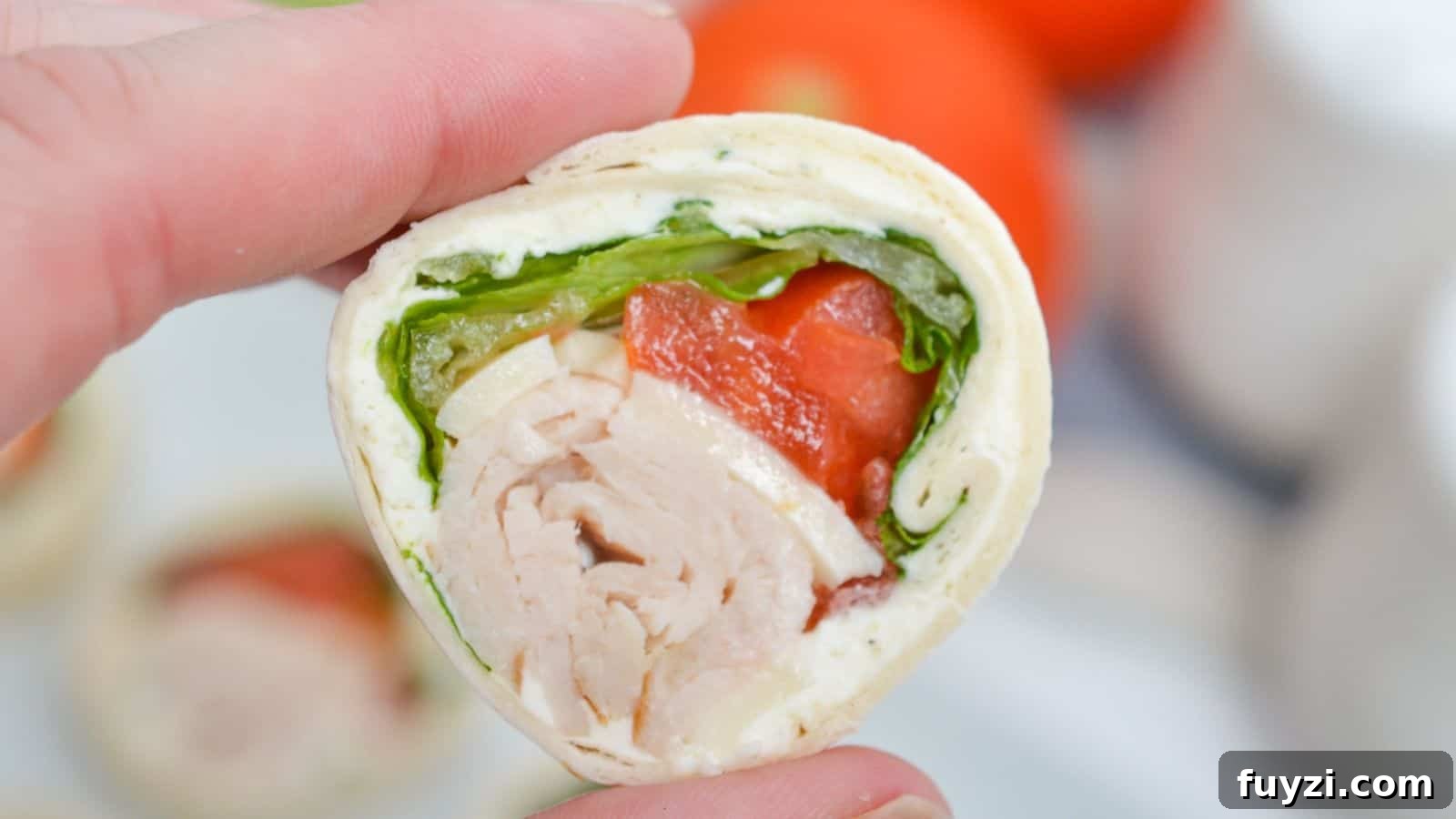 27 Crowd-Pleasing Outdoor Potluck Recipes for Late Summer 22 A close-up of a hand holding a turkey roll-up slice.