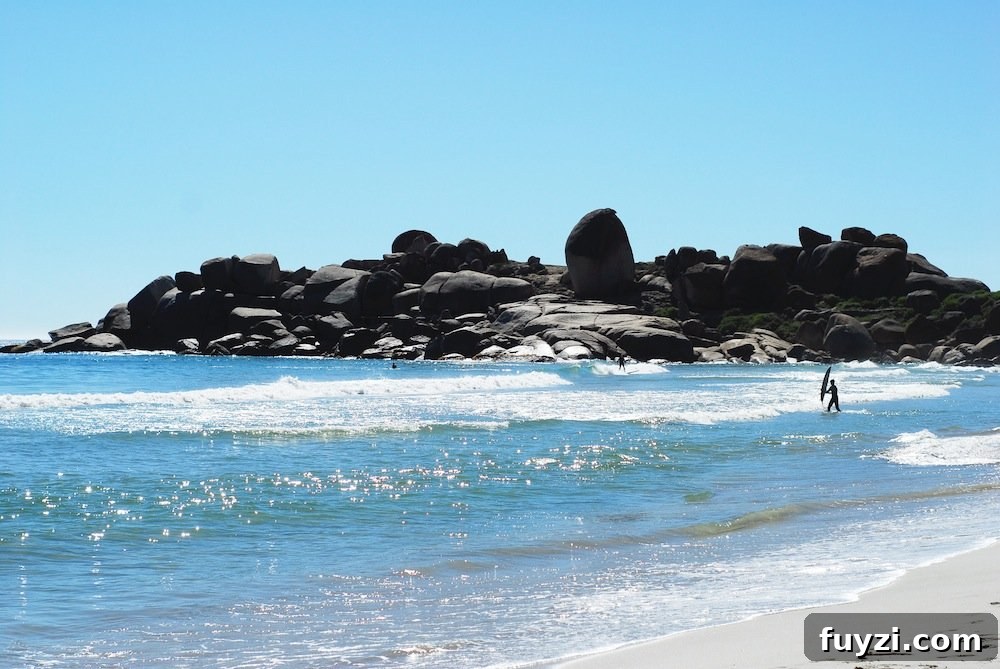 Large boulders along the shoreline