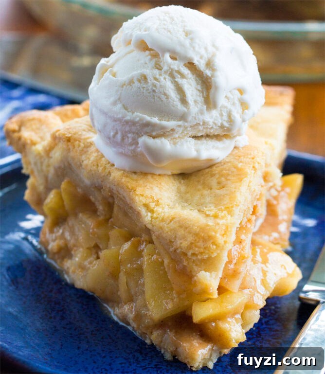 The Best Vegan Apple Pie (Dairy Free)