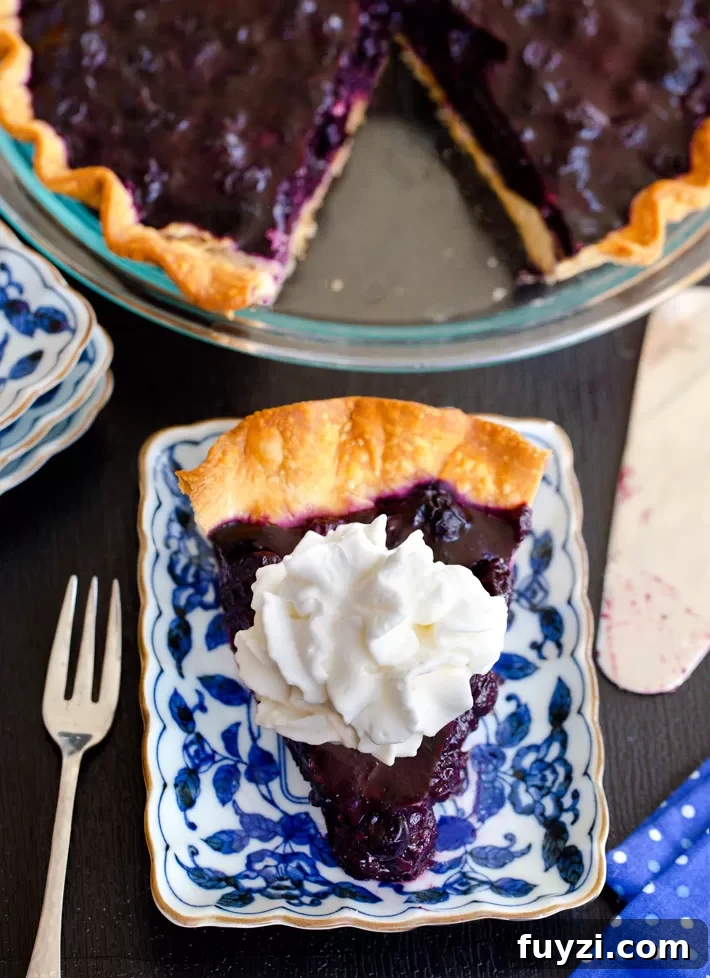 Vegan Blueberry Pie