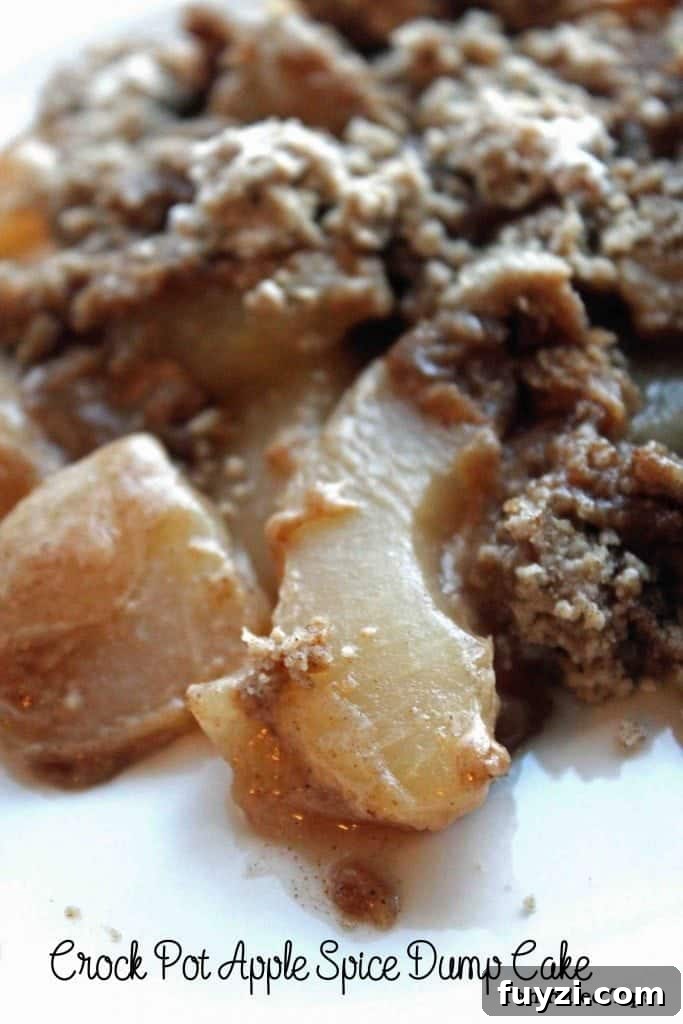 3-Ingredient Crock Pot Apple Spice Dump Cake (Video) 3 Crock Pot Apple Spice Dump Cake Recipe