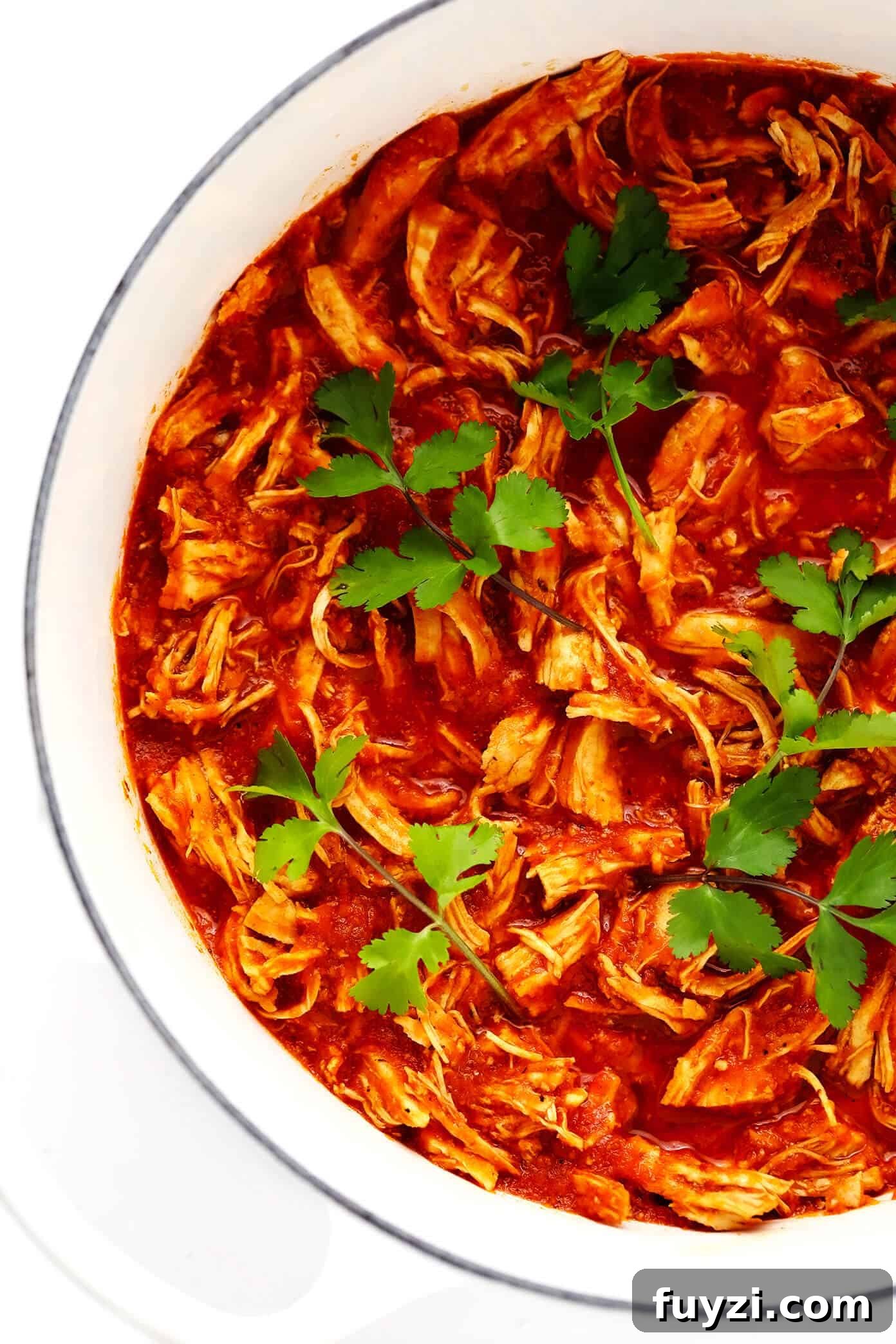 Smoky chipotle chicken tinga ready for tacos Chicken Tinga