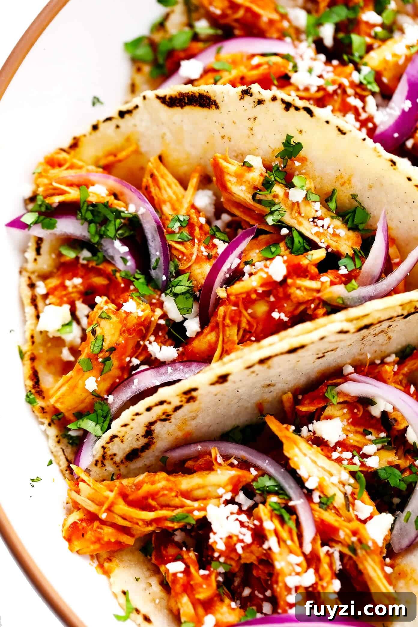 Hip closeup shot of Chicken Tinga Tacos Chicken Tinga Tacos Closeup