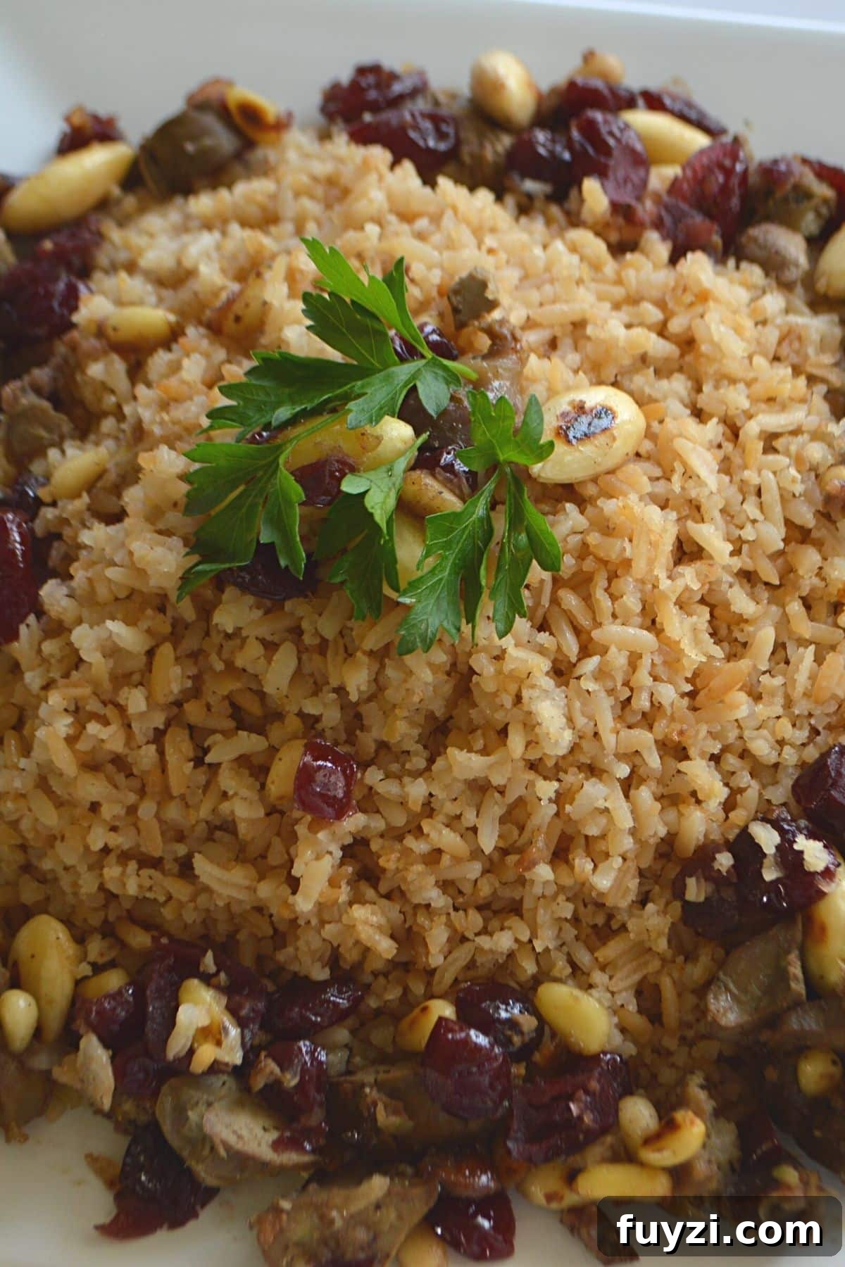 A bird's eye view of a toasted rice dish garnished with parsley.
